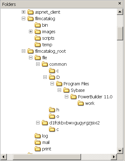 Display of subdirectories for the "filmcatalog" Web Forms application in the virtual file system of the IIS server.