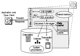 This illustrates the Adaptive Server system model.