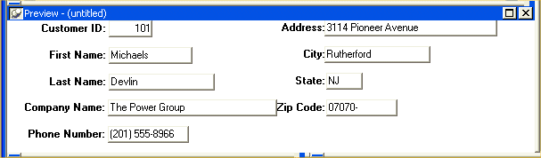 Shown is the Preview view of the Data Window object. It includes a series of labeled text fields, one for each of the columns included in the Data Window object. The labeled fields are arranged two to a line and have actual data in them.