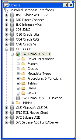 Shown is the expanded E A S Demo D B V 10 database node in the Objects view. It has folders for Driver Information, Groups, Metadata Types, Tables, Users, and Views.