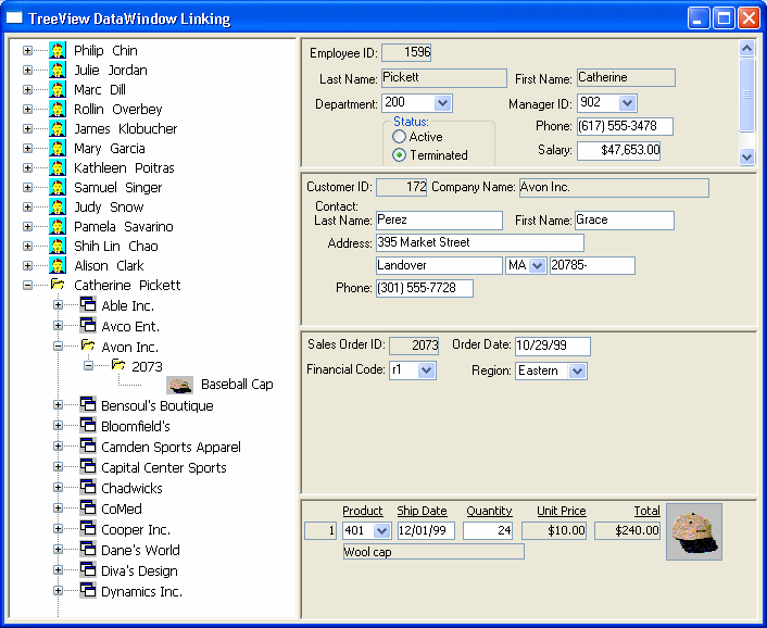 Expanding the nodes displays four data windows in the panel on the right: employee details, customer details, order details, and sales order item details.