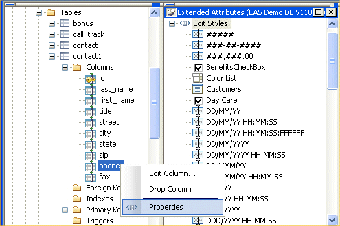 Shown at left is the expanded Objects view for contact 1. Under its columns folder is the highlighted item phone and a pop up menu with Edit Column and Drop Column options and a Properties option that is highlighted.