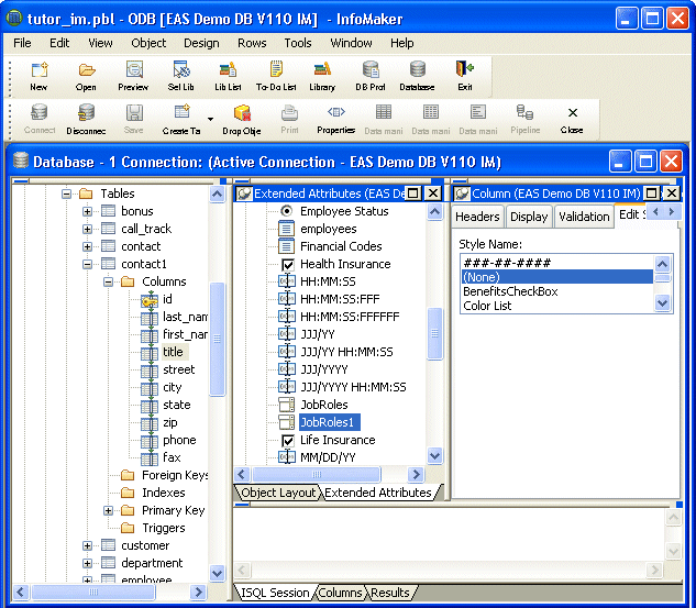 Shown is the Edit Styles tab of the Objects Details view at the right of the Database painter screen. It displays a list of Style Names.