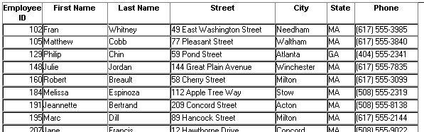 The modified sample for the Grid presentation style shows data in row-and-column format with grid lines separating rows and columns, but with reduced white space that allows a seventh column of data, Phone, to fit on the display.