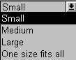 The  example shows a drop down list box with several values.