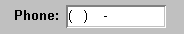 In a gray rectangle, the sample shows the word Phone : To its right is a white rectangle displaying ( space ).