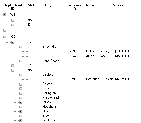 A sample of the TreeView presentation is shown