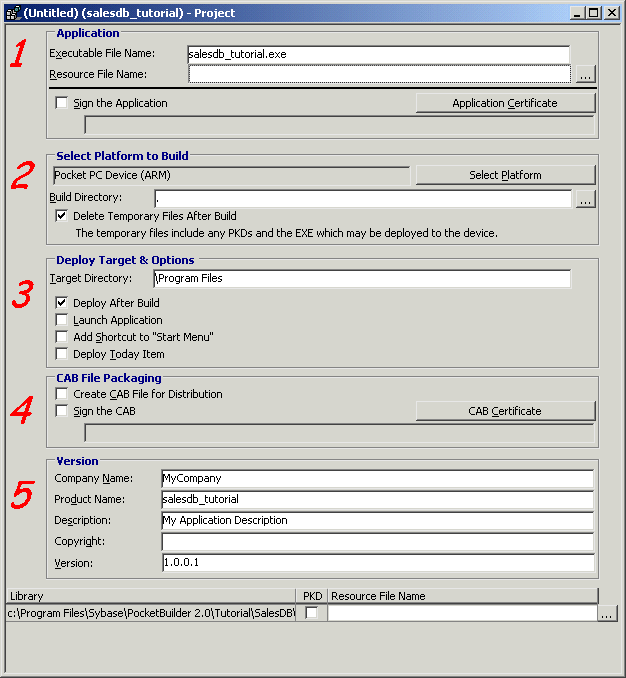 Shown is the new project opened in the Project painter. It sets a name for the executable file built by the project, the platform for deployment and the directory where the project is built. Other project options are selected, including one to delete temporary files after a build and to deploy immediately after a build.