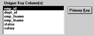 The sample shows a portion of the Specify Update Properties dialog box. A list box titled Unique Key Columns displays six column names. The emp _ i d column is highlighted. To the right of the displayed columns is a Primary Key button.