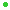 An image of a green dot.