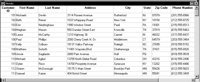 The sample Results view is a grid Data Window with columns for Customer I D, First Name, Last Name, Address, City, State, Zip Code, and Phone Number. The scrollable results area shows thirteen rows of data.