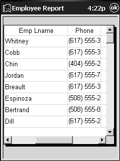 Shown is a Data WIndow with a grid presentation style. Grid lines separate the column headers and column data. In this picture, only the employee last name and phone columns are visible.