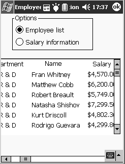 The picture shows a group box with radio button options at the top of a window titled Employee, and a Data Window at the bottom of the window. The Employee List radio button is selected in the Options group box. The sample Data Window object displayed in the Data Window control has three columns with the headings Department, Name, and Salary. 