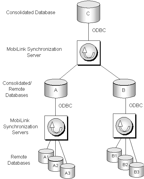 The consolidated database is shown at the top with MobiLink connections to intermediate layer dabases that serve both as remote databases to the top-level consolidated database and as a consolidated database for lower level remote databases.