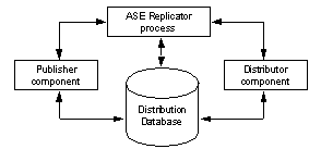 Interaction may occur between all components of ASE Replicator.