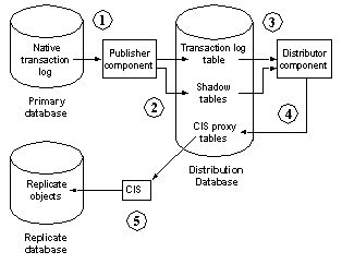 ASE Replicator components work together to replicate transaction operations from a primary database to a replicate database.