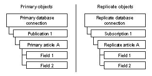 Primary and replicate objects are hierarchically ordered.