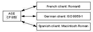 Graphic showing an Adaptive Server configured with the CP 850 character set connecting to multiple clients, each configured with different languages and character sets