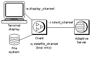 Graphic showing a terminal display, client, file system device, and Adaptive Server, each configured for their own character set