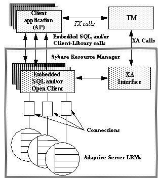 In this figure of the Sybase X A D T P model, the client application and T M communicate via T X calls. The Client applications and Embedded SQL and or open client communicate with each other. The TM also communicates with the XA interface. In addition, the embedded SQL and or Open Client communicates with the X A interface. The Embedded SQL and or open client then also have connections to Adaptive Server LRMs.