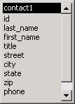 Shown is a representation of the table in the Database painter Object Layout view. It displays a scrollable list of columns such as i d, last _ name, and first _ name.