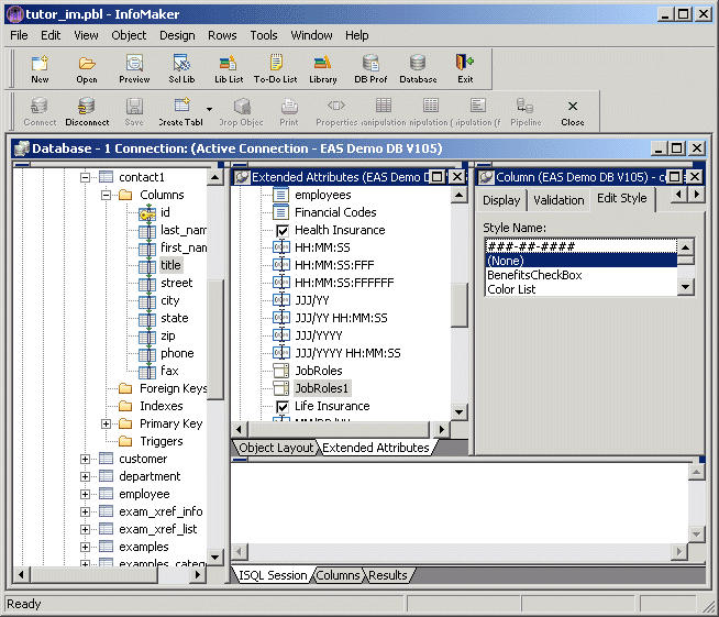 Shown is the Edit Styles tab of the Objects Details view at the right of the Database painter screen. It displays a list of Style Names.