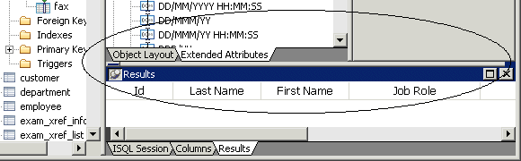 Shown is the Results tab page at the bottom of the Database Pointer screen. It displays the column headers I D, Last Name, First Name, and Job Role, but no data under them.