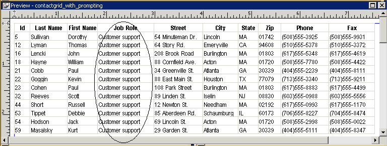 Shown is the Preview view of the report named contact grid _ with _ prompting. It has columns for I d, Last Name, First Name, Job Role, Address, Phone, and Fax. For every row of data, only Customer Support appears in the Job Role column.