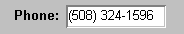 In a gray rectangle, the sample shows the word Phone : To its right is a white rectangle displaying a phone number as ( 5 0 8 ) space 3 2 4 space 1 5 9 6. 