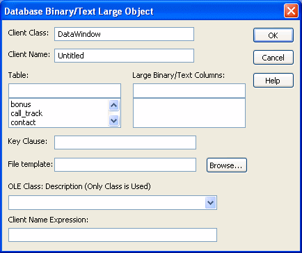 The sample shows the Database Binary / Text large Object dialog box. The dialog box displays a Client Class box with the value Data Window, a Client Name box with the value Untitled, a blank Table box with a scrollable list of tables, a blank box for large Binary / Text Columns, and blank boxes for Key Clause, File template, OLE Class: Description, and Client Name Expression.