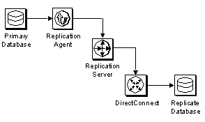 Heterogeneous replication