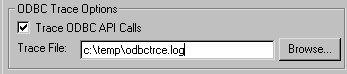 The sample shows an area titled O D B C Trace Options. It has a selected check box labeled Trace O D B C A P I Calls and a Trace File box with the entry c : backslash  temp backslash o d b c t r c e dot log.