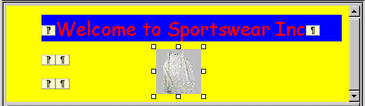 Shown is the text Welcome to Sportswear, Inc. with a graphic of a tee shirt centered below it.