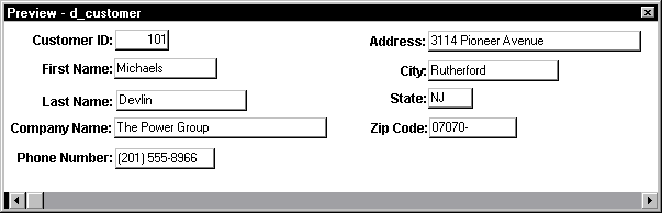 Shown is the Preview view of the Data Window object. It includes a series of labeled text fields, one for each of the columns included in the Data Window object. The labeled fields are arranged two to a line and have actual data in them.