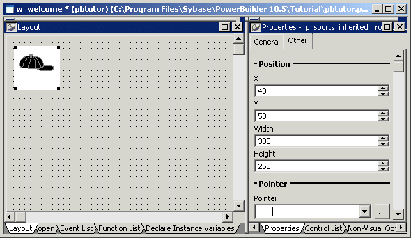 Shown at left is the layout view, a large gray rectangle with a grid of dots that represents the window you are building. A picture of a baseball cap is displayed in the top left corner. At the right of the screen is the Other tab of the Properties view with spin controls for X and Y coordinates set to 40 and 50, respectively, then a Width control set to 300 and a Height control set to 250. At bottom is a blank drop down list box labeled Pointer with a browse button to its right..