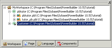 The sample shows My Workspace expanded in the System Tree with the new Web target named Customer  highlighted under it.