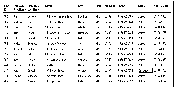 The sample shows what happens when the condition of on leave status is applied to the Border property of the status column. In the sample DataWindow object, for rows where the Status displayed is On Leave, a shadow box border outlines the words On Leave.