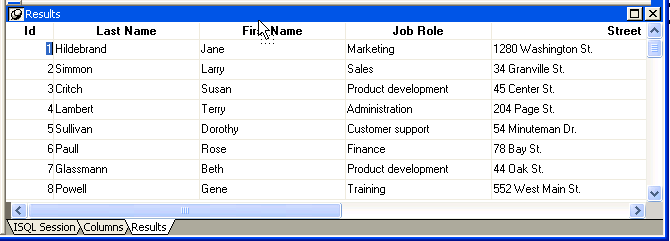 The sample Results view is a grid with columns for Customer I D, First Name, Last Name, Address, City, State, Zip Code, and Phone Number. The scrollable results area shows thirteen rows of data.