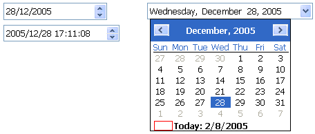 The first control on the left shows a date and the second a date and time in a simple one-line box. The control on the right shows a month in a calendar format with the selected date highlighted.