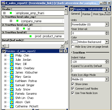 The design, preview, and properties views for the sample display in the data window painter.