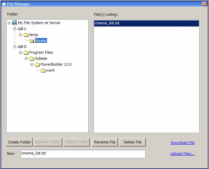 The File Manager shows a text file that you uploaded to its location in the c:\theaters directory under the virtual file system root.