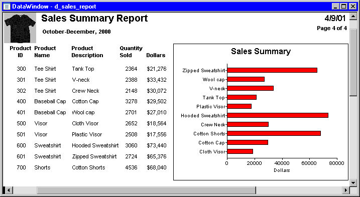 The Data Window example includes a picture, information, and a graph.