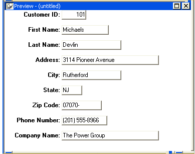 Shown is the Preview view of the Data Window object.