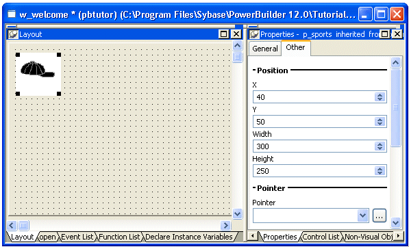 Shown at left is the layout view, a large gray rectangle with a grid of dots that represents the window you are building. A picture of a baseball cap is displayed in the top left corner. At the right of the screen is the Other tab of the Properties view with spin controls for X and Y coordinates set to 40 and 50, respectively, then a Width control set to 300 and a Height control set to 250. At bottom is a blank drop down list box labeled Pointer with a browse button to its right..