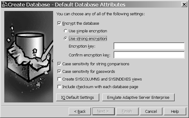 Shown is the default database attributes window with the following items selected: encrypt database, use strong encryption, case sensitivity for strong comparisons and case sensitivity for passwords